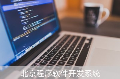 北京程序軟件開發系統 從開發到維護的職業前景與薪資探析